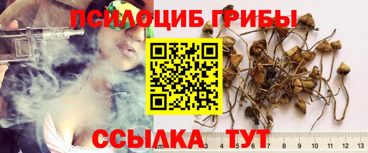 Псилоцибиновые грибы ЛСД Карачаевск